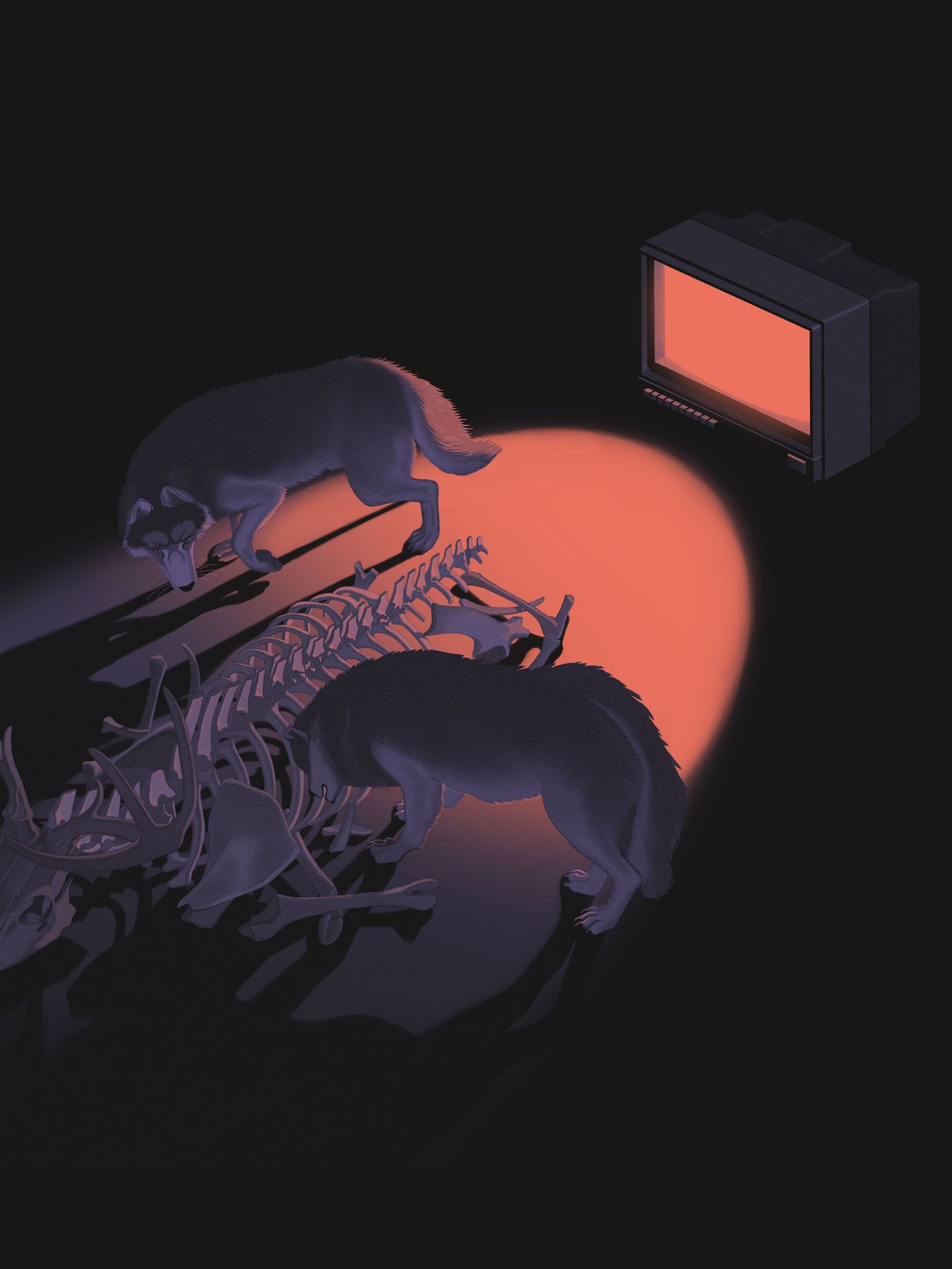 Wolves picking at a caribou skeleton illuminated by the reddish light of an old television.